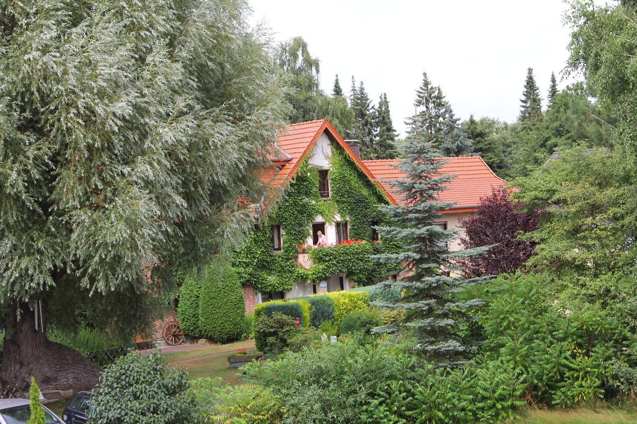 Hotel-Pension Haus Holtdirk Lippstadt Værelse billede
